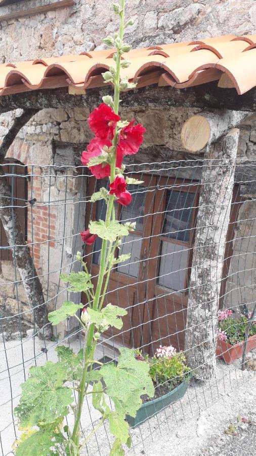 Bed and Breakfast Les Tremieres Saint-Paul-des-Fonts Екстер'єр фото